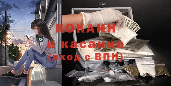 сатива Арсеньев