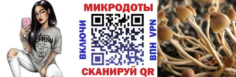 Псилоцибиновые грибы GOLDEN TEACHER  Купить закладки  Вилючинск 