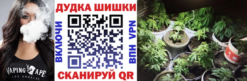 Каннабис ГИДРОПОН  Купить закладки  Вилючинск 